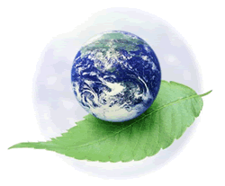 کره ی بدون پلاستیک