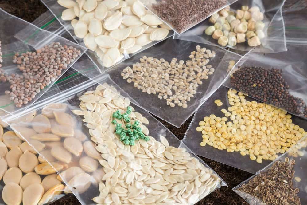 نایلکس بسته بندی حبوبات